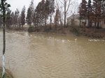 8528IMG_0354.JPG