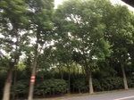 2017-09-12_10-34-05_BE5EC92F-E627-4F91-BA5F-85AAC20C8A99.jpg