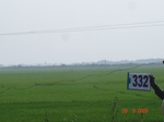 131990332d-rainfed-agriculture-rice.gif