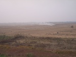 4684RIMG0162.JPG