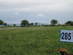 73390285a-rainfed-agriculture-soyabean-second-crop-wheat.jpg