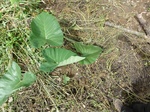 20236P1020091.JPG