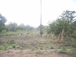 4050RIMG0354.JPG