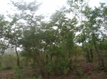 3975RIMG0279.JPG