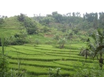 13866IMG_4144.JPG