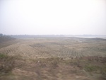 4697RIMG0250.JPG