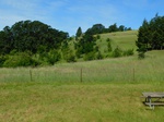 2020-05-28_13-09-16_2020-05-27_Erratic_RockW.JPG