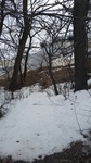 2017-02-23_14-14-40_20170223_135135.jpg