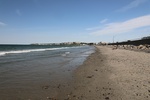 2022-06-12_15-25-16_C07990C2-C73B-4C46-854B-D293189DFE1F.jpeg