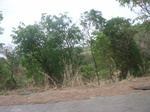 4034RIMG0338.JPG