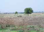 1772823042008(18).JPG