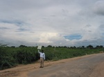 9861gt104b_scrubland.gif