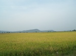 17364100_2050.JPG