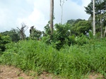 20688P1020545.JPG