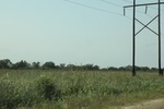 2022-06-11_15-46-26_ED32D021-7D33-4A1B-8D07-F31C0A66F38B.jpeg