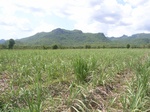 18133CentralThailand-1 (16).JPG