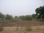 3904RIMG0208.JPG