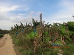2012-09-26_20-49-59_CIMG1058.JPG