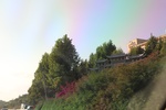2018-06-01_17-48-13_2018-05-19 04.34.15.jpg