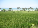 13999IMG_4316.JPG