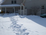 2017-02-21_14-48-33_Feb17-011-VT.jpg