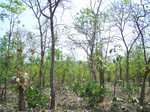 530127042008(16).JPG