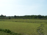 17545100_2806.JPG