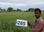 73410285c-rainfed-agriculture-soyabean-second-crop-wheat.jpg