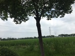 2017-09-12_10-57-13_CFC33317-7B01-4655-B993-A7CF016357D4.jpg