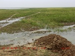 39117CIMG4836.gps.jpg