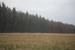 2019-10-15_12-00-05_4E8A1893.JPG