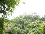 15251IMG_4073.JPG