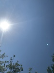 2020-08-25_20-24-24_C1C614AB-3962-4807-8105-A6452F8E9485.jpeg