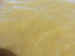 2012-09-21_14-25-52_CIMG0079.JPG