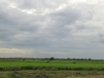 40747CIMG6720.JPG