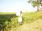 6519gt039-cropland-1.jpg