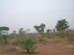 3912RIMG0216.JPG
