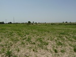19178P1010024.JPG