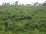 2012-09-08_18-23-47_RIMG0022.JPG