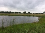 2017-05-27_09-23-42_2017_05_27 Pond_02 15915 CR 668 Blue Ridge TX 75424.jpg