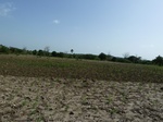 19318P1010164.JPG