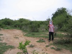 820705-shrubland-degradedb.jpg
