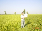 6481gt021-cropland-1.jpg