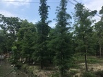 2017-09-12_12-47-10_7DB3F1E1-4CFC-44BA-843C-D7A5C331298A.jpg