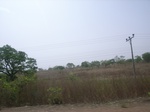 4020RIMG0324.JPG