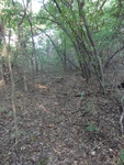 2012-09-24_10-40-21_DSC03064.JPG