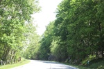 2022-06-11_15-55-39_CF6FA23A-F827-4E41-AFDE-3BD90FEE0EFA.jpeg