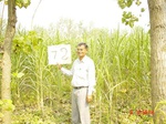 6587gt072-cropland-2.jpg