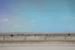 2017-05-11_16-35-02_2017-03-19 13.18.48.jpg