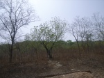 4017RIMG0321.JPG